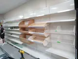 Росинка — Братківці — фото 3
